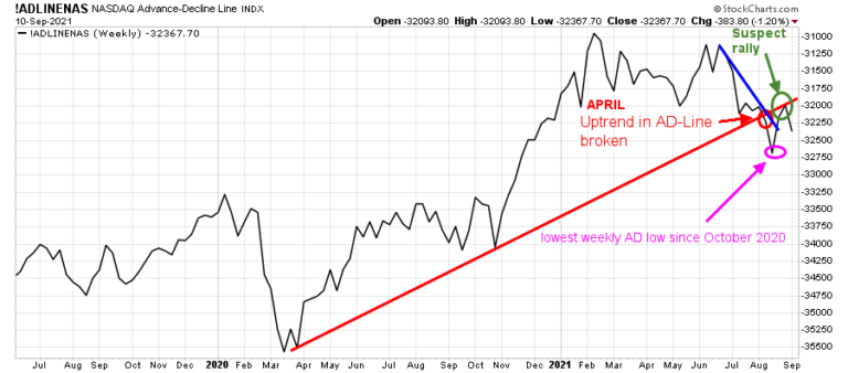 Market Wealth Update Week Ending 9/10/21 » BonnieGortler.com